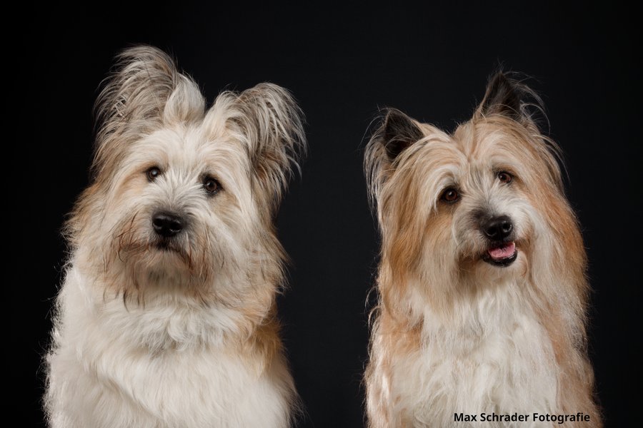 TUEB7292_maja_pepper_watermarked